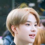 [NCT] 정우 약간 <b>루피</b> 닮지 않음?