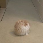 부산 <b>서여</b>고 부경고 부산여고 삼성여고 다니는 언니들 다 들어와주셈