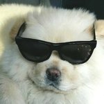 [댓글부탁해] 너네 남한테 <b>상처</b> 주면 그대로