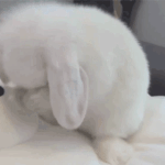 [댓글부탁해] 복학<b>왕</b> <b>말</b>이야