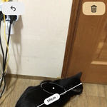 [드루와] <b>식빵</b>굽는 고양이 길이