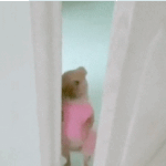 키스를<b>강의</b>왜함