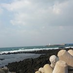 지금 <b>제주</b>도 놀러왔다