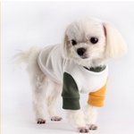[강아지] 울집홍이겨울옷하나장만했는데