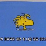 [댓글부탁해] 얘들아 1학년내신 1.7이면