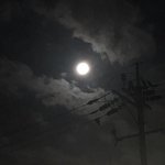 [드루와] 페북 <b>배사</b> 할 사진 좀