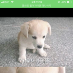 [조언부탁해] 얘드라 미용실에서 이렇게 해달라하면 싫어하려나