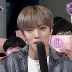 판까흥이라며 왜자꾸 기어들어오는걸까 우익<b>저</b><b>씨</b>는?