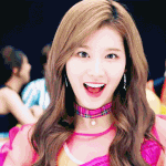 [드루와] 사나는 햄스터<b>상임</b>??