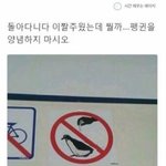 단톡방이나 익명커뮤에 남 사진 갖고와서