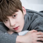 [황민현] 그 눈빛 잊지못해....진짜 찰떡이야