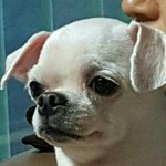 <b>조퇴</b>해서 집가는중~!!