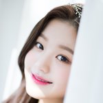 [댓글부탁해] 확실히 남초는 아이즈원으로 다 갈아탐