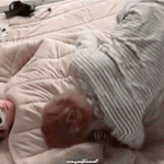 [댓글부탁해] 설레는행동하거나 귀여워하는 남돌 <b>케미</b>