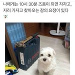 [드루와] <b>해피</b>트리프렌즈 닮았다는데 칭찬이냐