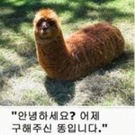 와 우리학교에서 서울대 의대 합격했대;;