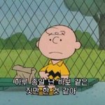 [댓글부탁해] 내가 친구를 다치게 했어ㅠㅠ