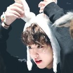 [모두드루와] 토끼인간 <b>best</b>4