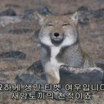 자야 되는데 배고파서 <b>잠</b>이 안 <b>옴</b>