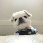 [댓글부탁해] 얘들아 나 <b>현실자각</b> 좀 시켜줘 제발