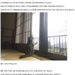 [댓글부탁해] 고양이 빌려주는 <b>여관</b>
