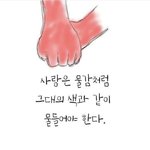 [댓글부탁해] 간호사분들 계시나요?