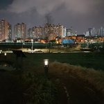 그녀의 강아지 이름은 <b>멜로</b>.