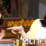 레벨 내 대형견과 <b>소형견</b>