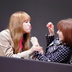 아이즈원 톰과 <b>제리</b>