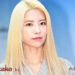 [다이아] <b>조아</b>