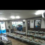 횟집...90<b>인분</b> 예약 취소 (사장님의 눈물)