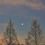 [댓글부탁해] 폰<b>카로</b> 찍은사진 이상함?