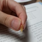 오렌지 알갱이 볼<b>랭</b>