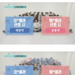 [댓글부탁해] <b>콜라</b> 유튜브 블라인드 테스트 결과