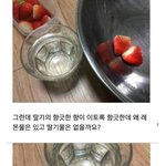 [댓글부탁해] 의식의 흐름이 뛰어난 <b>블로그</b>