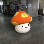 [댓글부탁해] 학교에 등장한 <b>주황</b>버섯