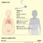 [충격] <b>간접</b>흡연의 위험성