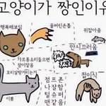 [조언부탁해] 남친 대표사진에 좋아요 누르면 어때