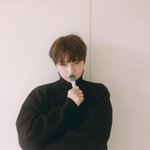 <b>주인</b> 닮아가는 엘 고양이