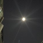 [댓글부탁해] 얘들아 요즘 사는거 어때? 내 얘기 좀 들어줘