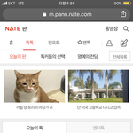 다들 판 어떻게 <b>접속</b>해 ??