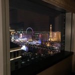 아 <b>시빠</b> 어떡하지 내 진로 망함...