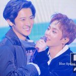 [EXO] 민석이와 백현이의 차이 (핏 비게퍼)
