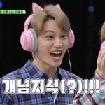 [EXO] 개.념.지.식!!!!!!!! 예고 개웃겨ㅋㅋㅋㅋㅋㅋㅋ