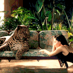 [모두드루와] 맹수를 닮은 듯한 여<b>돌</b>들