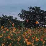 [<b>bl</b>] <편지>