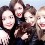 <b>제니</b> 리사 로제 <b>지수</b> 사랑둥이들