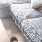 [댓글부탁해] 푸들이 <b>소파</b>에 올라가는 법ㄷㄷ