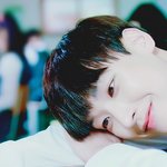 [추반] 나 어쩌다 히메컷인데ㅠㅠㅠ