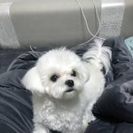 [드루와] 고등학교 입학전 <b>친목</b>질 중요함??